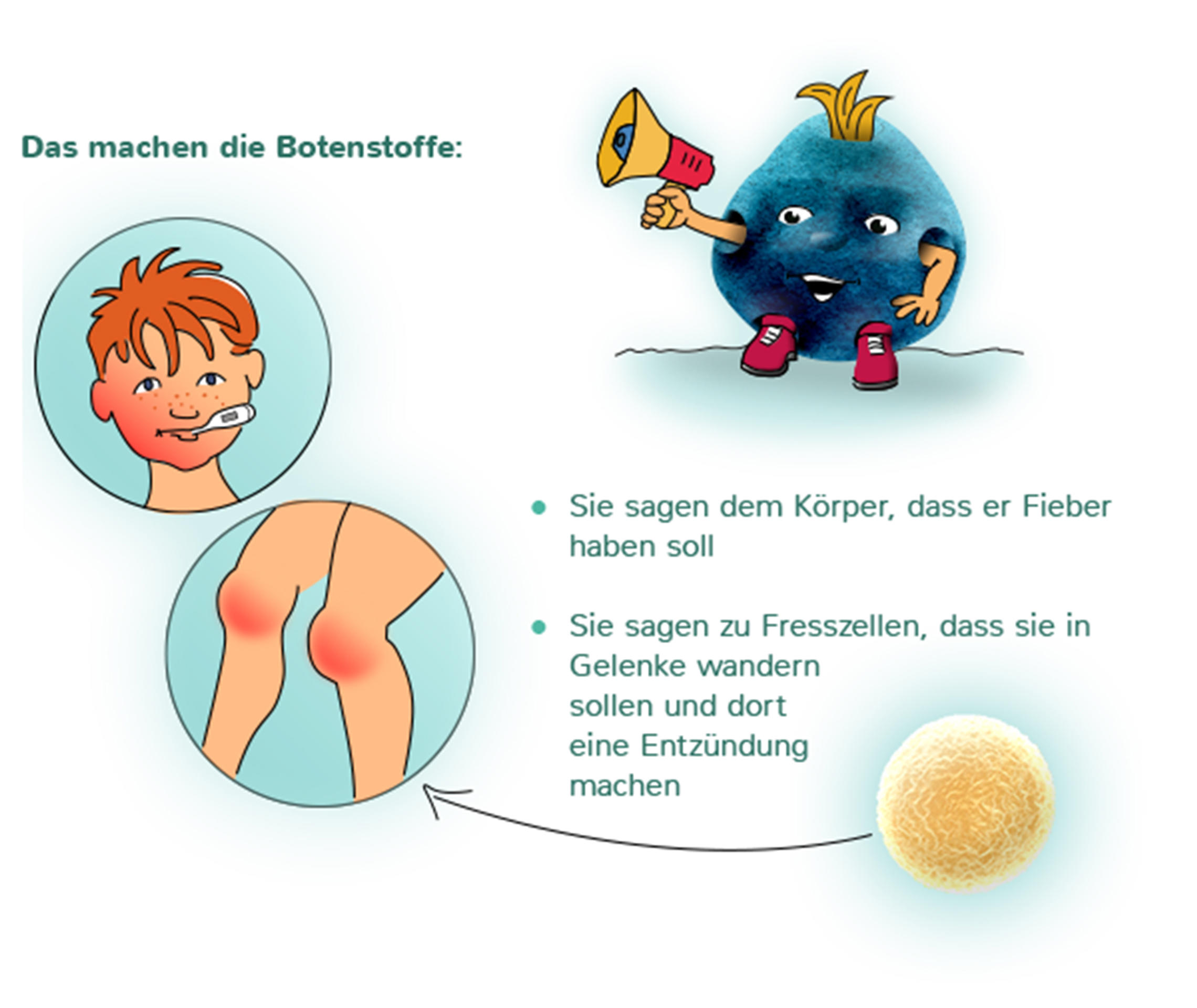 Botenstoffe
