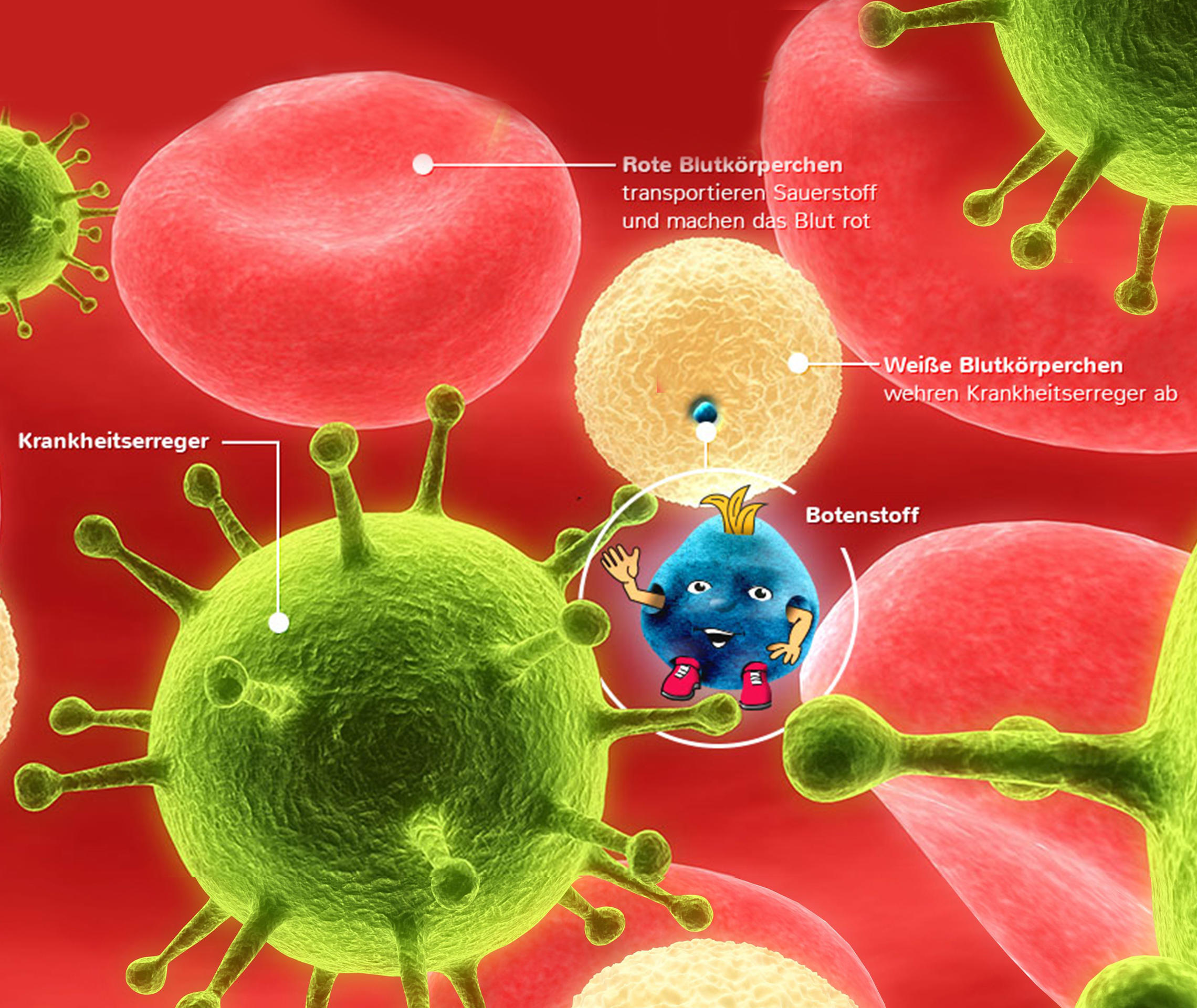 Immunsystem Grafik