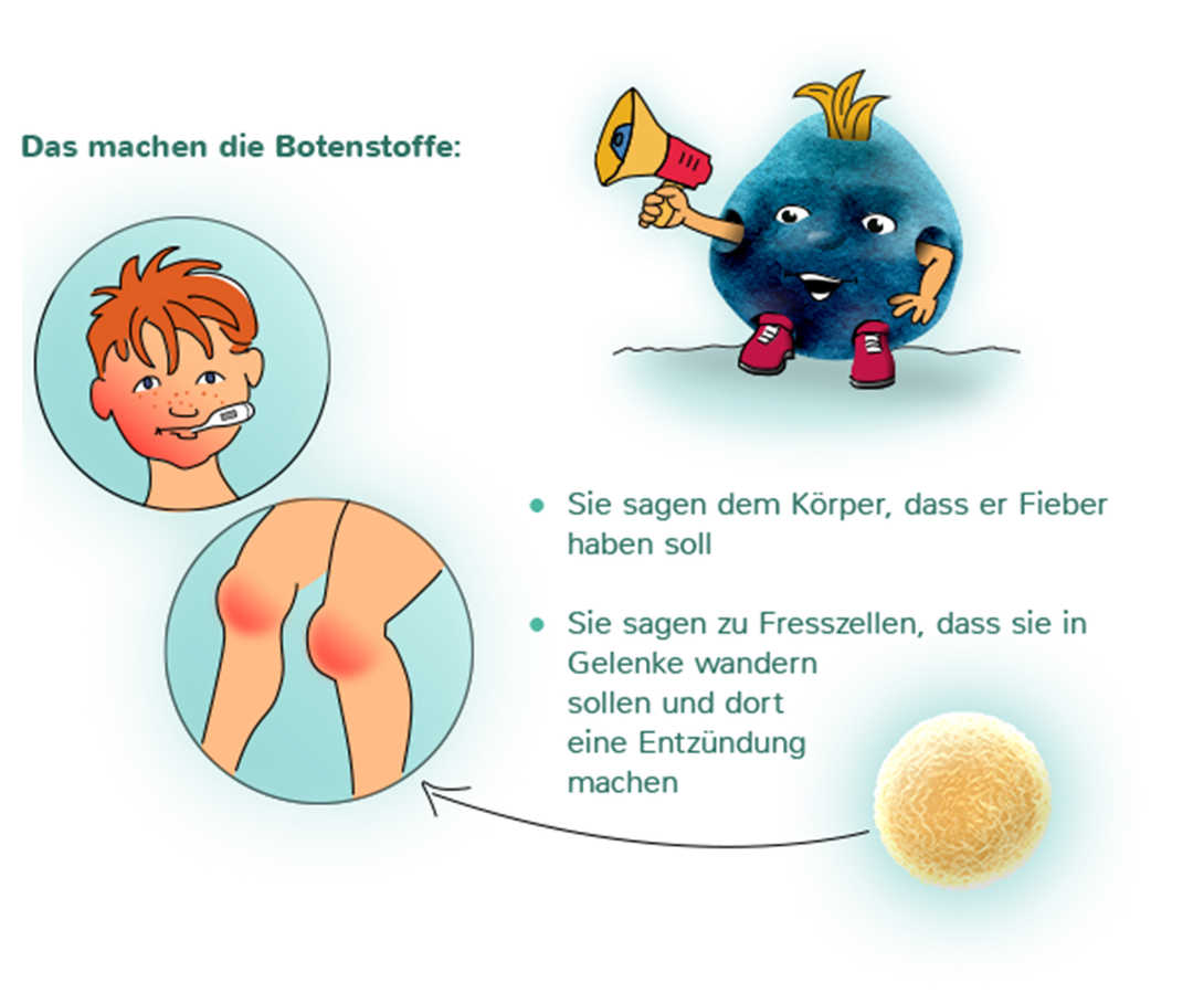 Botenstoffe Botenstoffe