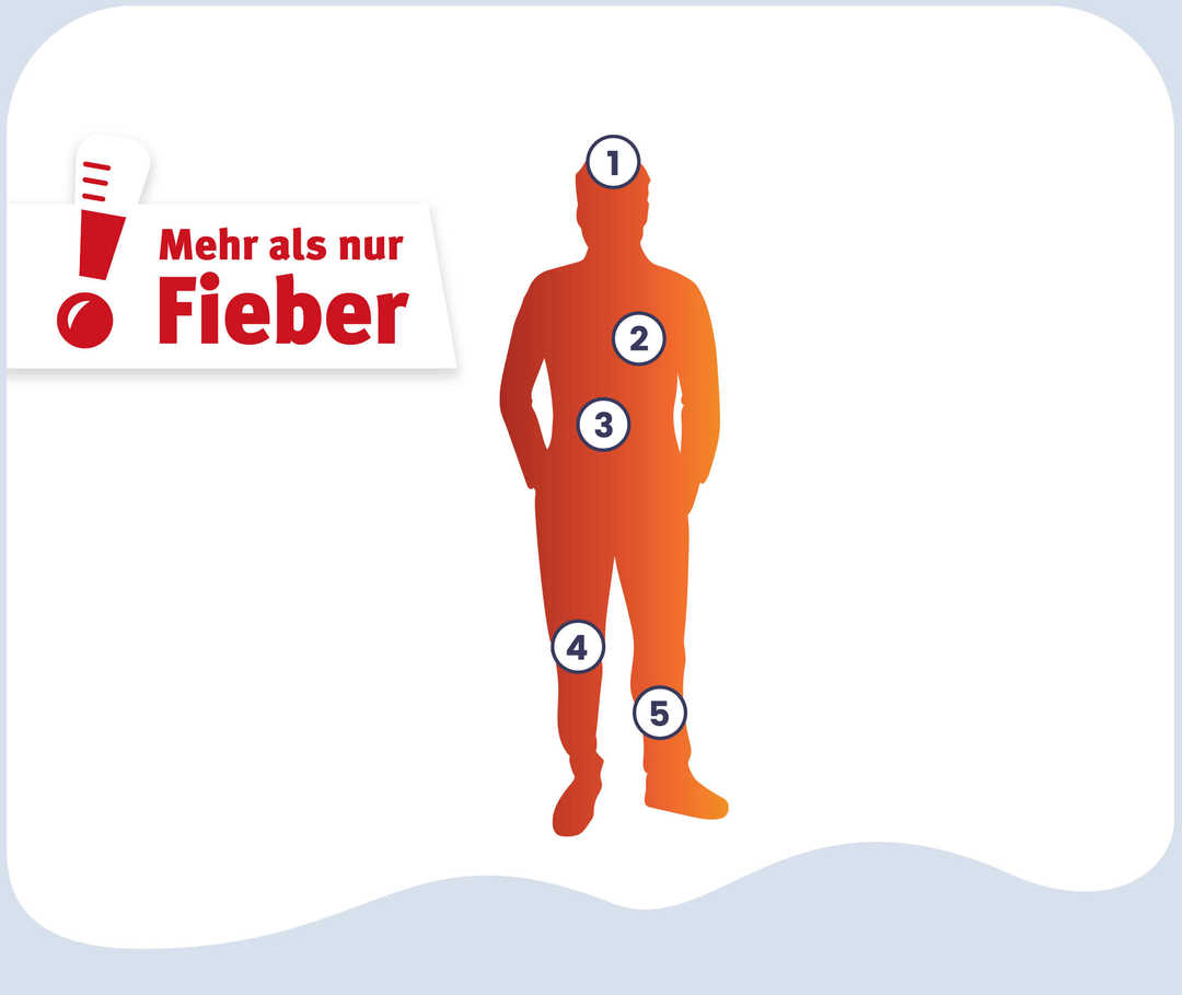 Grafik Nummerierung Hauptsymptome Grafik Nummerierung Hauptsymptome